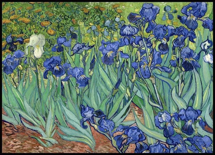 Irises là một trong những bức họa cuối đời của Vincent