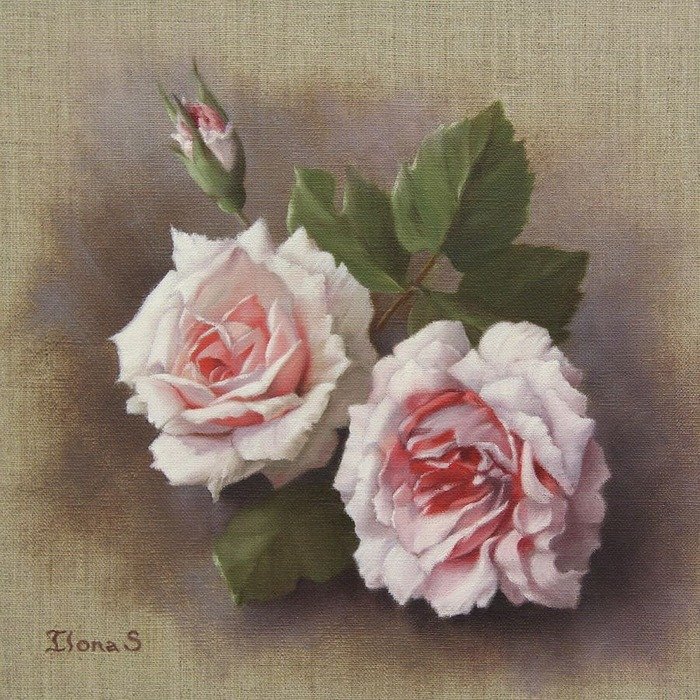 Mẫu tranh hoa hồng trắng kiêu sa